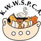 Trad Night in aid of K.W.W.S.P.C.A